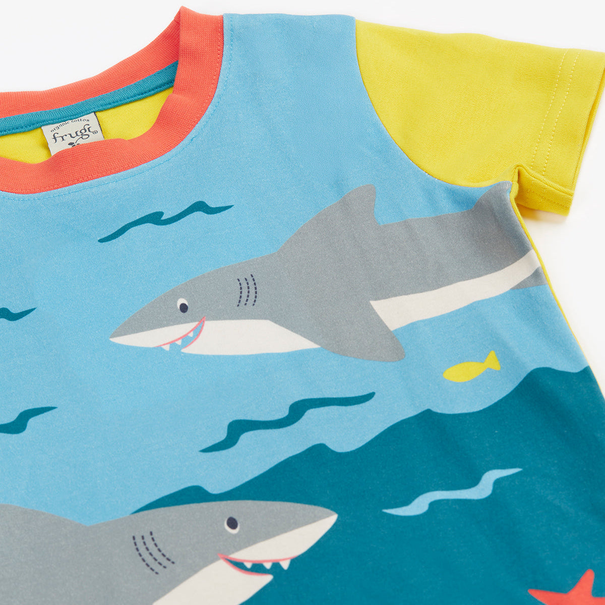 Organic Cotton Short Sleeve T-Shirt - Sharks